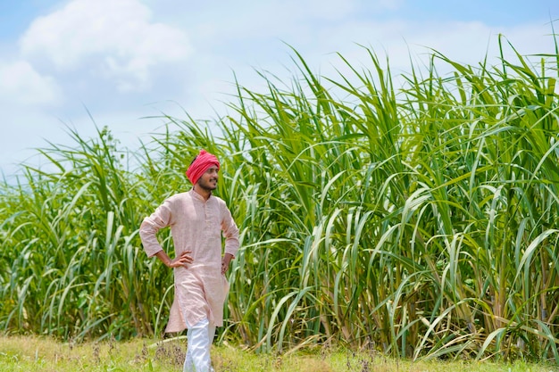 Indische landbouwer bij het groene veld van de suikerrietlandbouw.