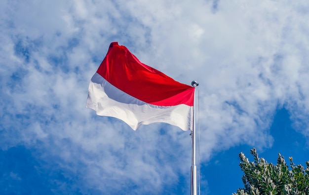 Photo indonesia and monaco national flag with bluesky and greenery background