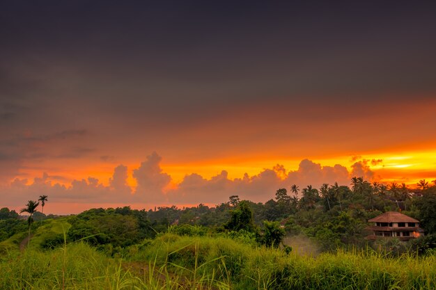 Indonesia. Rainforest and house at sunset. Beautiful clouds on the horizon