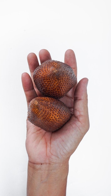 Indonesia's unique fruit Salak Snake fruits hold by hand