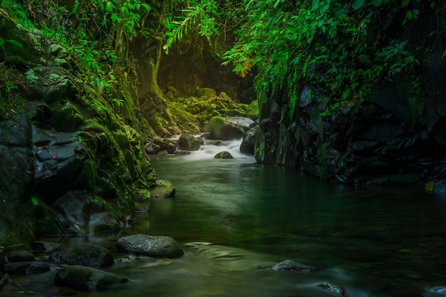 Indonesian landscape in the morning with a waterfall inside a beautiful tropical forest