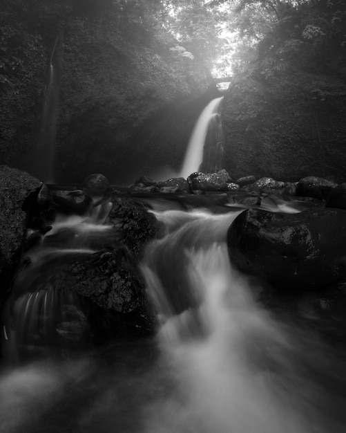 Indonesian landscape photo with waterfall in the morning and tropical forest