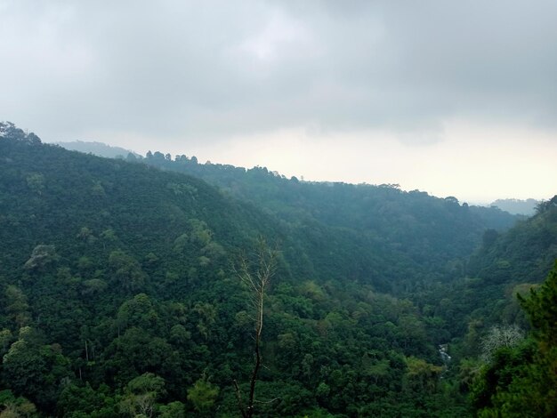 Photo indonesian mountain