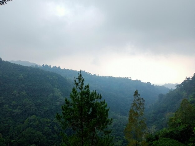 写真 インドネシアの山