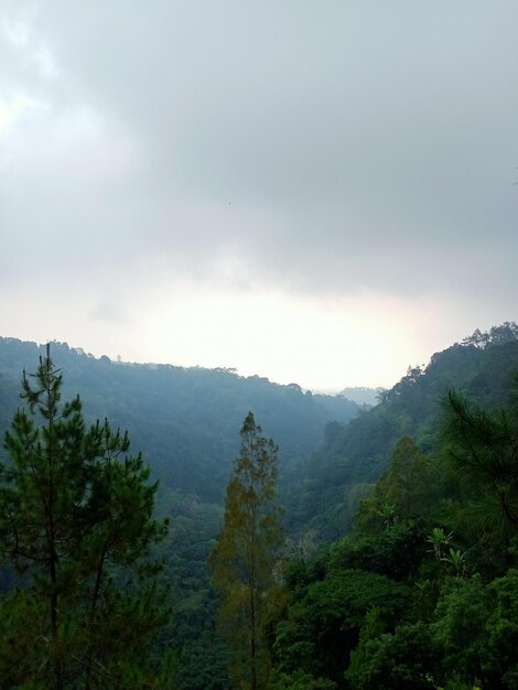 Photo indonesian mountain