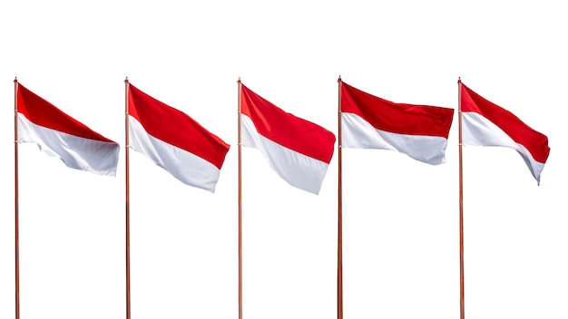 The Indonesian national flag