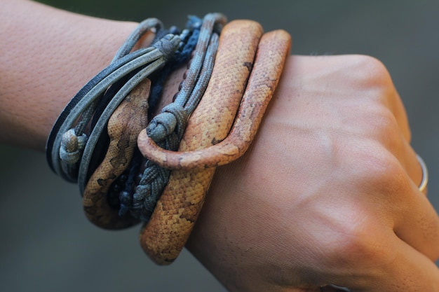 Foto il boa dell'albero indonesiano, il boa macinato del pacifico o il boa a scaglie di chiglia del pacifico diventano come braccialetti