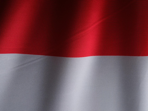 Indonesië Golvende vlag met typografie