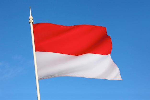 Indonesië Golvende vlag met typografie