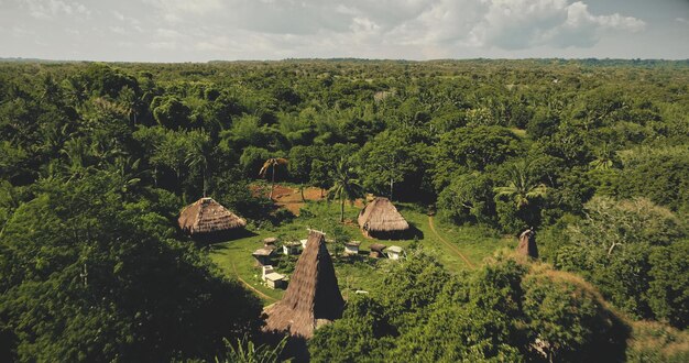 Foto indonesisch platteland met traditionele huizen, daken en dierenstal, luchtbeeld tropisch bos