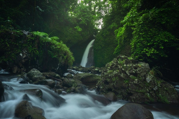 Indonesische landschap groene tropische boswaterval wanneer de zon schijnt