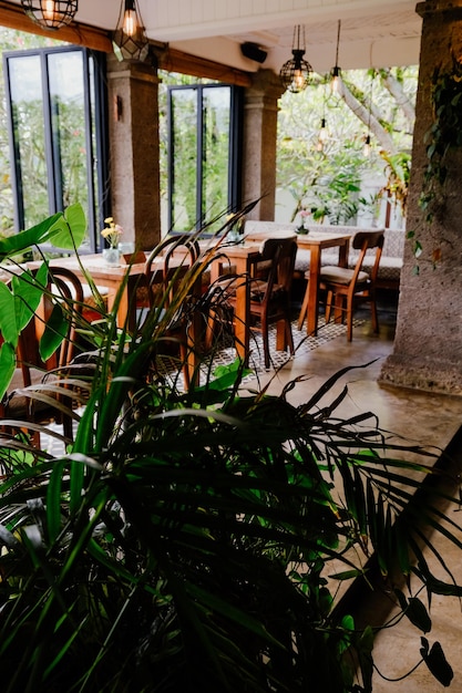 Indoor dining space with natural light plants and vintage lights