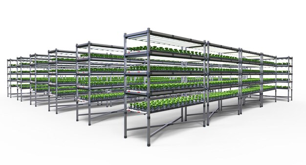 Indoor farm system raised plants on shelves growth with led light