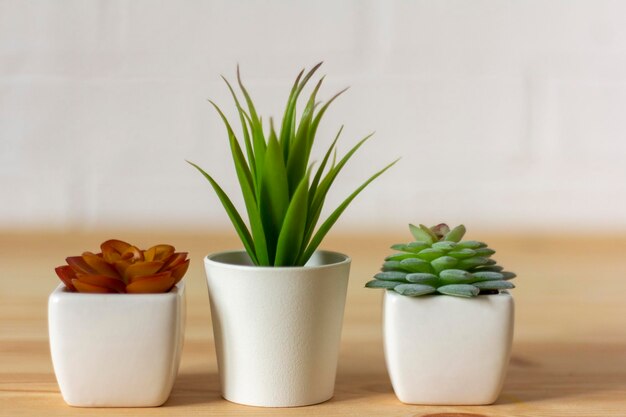 Indoor kunstplanten diverse vetplanten in potten vetplanten in witte minipotjes ideeën voor woondecoratiekopieer ruimte
