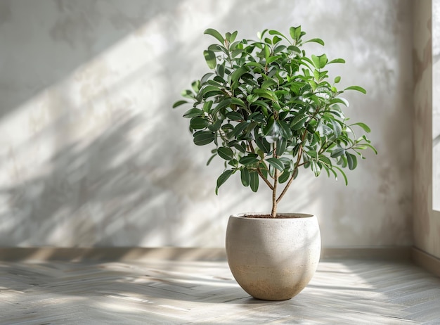 Photo indoor plants bring life to a room