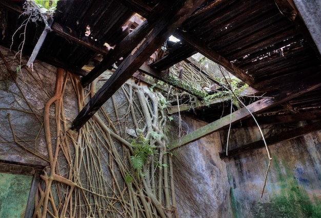 indoor scene of the objects found in the deserted and dilapidated colonial building