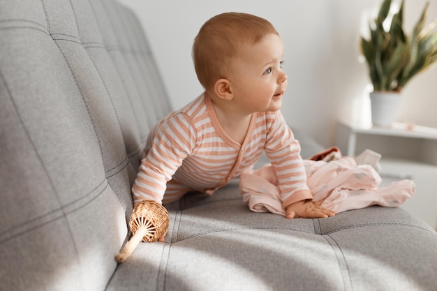 Indoor shot of curious charming infant baby girl wearing striped sleeper posing on gray sofa at home alone, looking away, finding her mother, crawling.