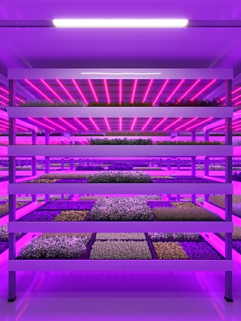 Indoor vertical farm hydroponic microgreens plant factory plants grow with led lights sustainable agriculture for future food 3d illustration