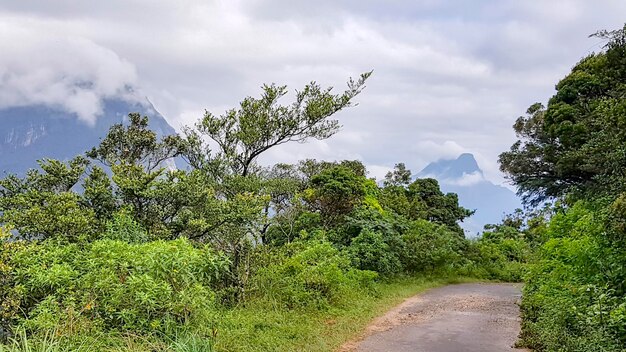 Indruk van Sri Lanka