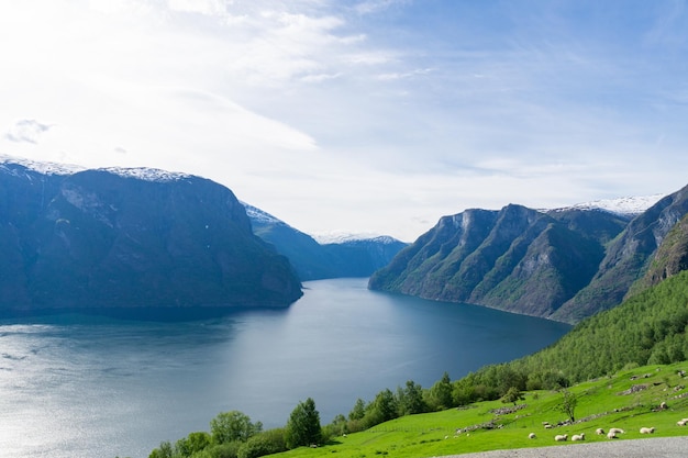 Indrukwekkende Naeroyfjord omringd door hoge bergen in Noorwegen