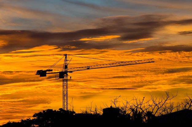Industrial construction cranes at sunrise.