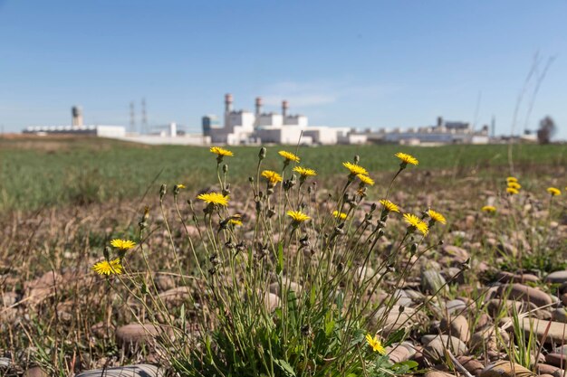 Industrial facilities of the gas company of Sagunto Valencia Spain