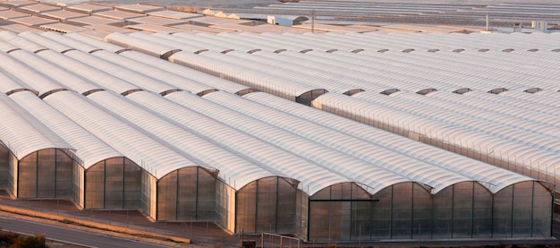 Industrial greenhouse to grow offseason veggies