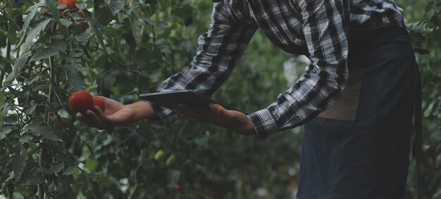 Foto nella serra industriale due ingegneri agricoli testano la salute delle piante e analizzano i dati con un tablet