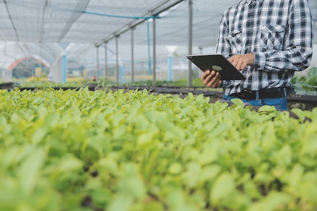 産業用温室で2人の農業エンジニアがタブレットコンピュータで植物の健康をテストし,データを分析しています