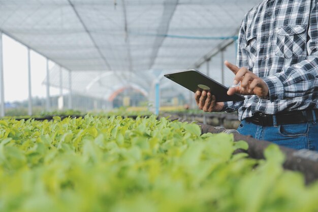 in the industrial greenhouse two agricultural engineers test plants health and analyze data with tablet computer
