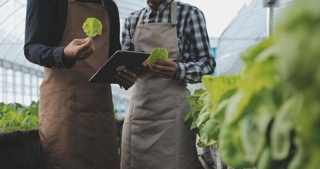 Foto nella serra industriale due ingegneri agricoli testano la salute delle piante e analizzano i dati con un tablet