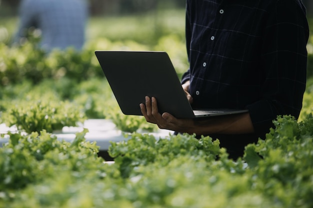 산업 온실에서 두 명의 농업 엔지니어가 태블릿 컴퓨터를 사용하여 식물 상태를 테스트하고 데이터를 분석합니다.