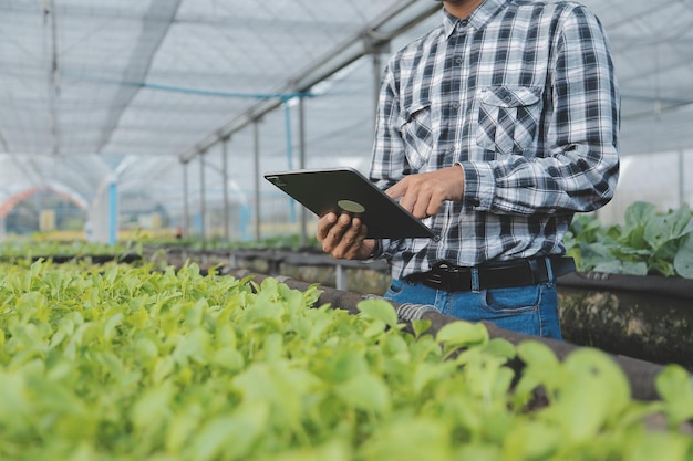 in the industrial greenhouse two agricultural engineers test plants health and analyze data with tablet computer