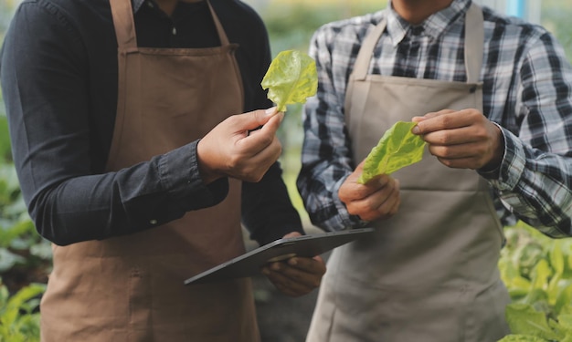 Foto nella serra industriale due ingegneri agricoli testano la salute delle piante e analizzano i dati con un tablet