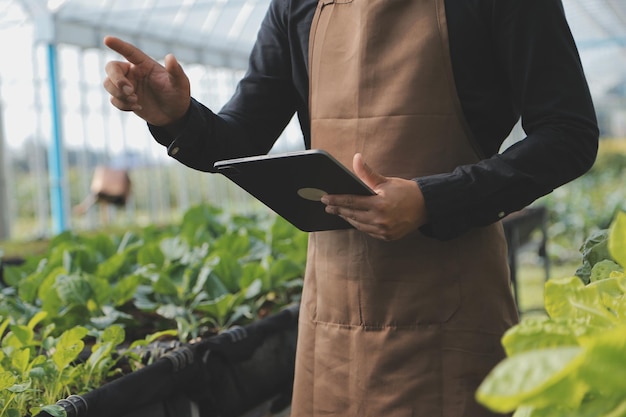 Photo in the industrial greenhouse two agricultural engineers test plants health and analyze data with tablet computer