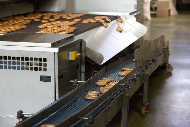 Industrial line for the production of brooches and biscuits