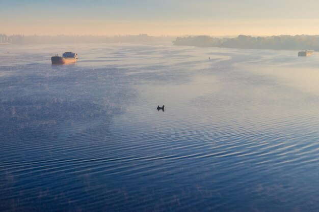 Foto nave industriale che naviga lungo il fiume nella nebbia al mattino