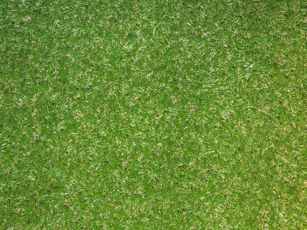 Industrial style Green artificial synthetic grass meadow backgro