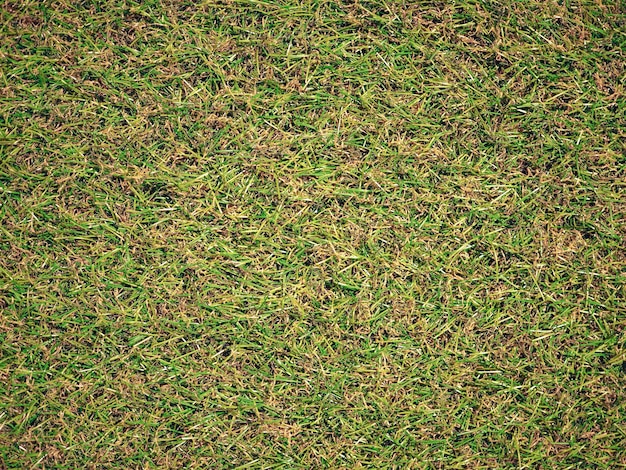 インダストリアルスタイルの緑色のプラスチックの人工草の質感の背景