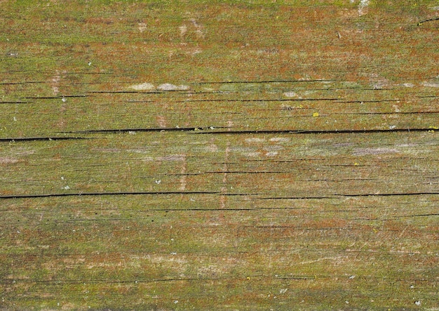 Industrial style green weathered wood with moss texture backgrou