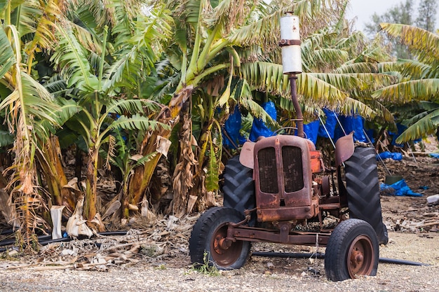 Industriële landbouwscène van verlaten oude verroeste en stoffige tractor.