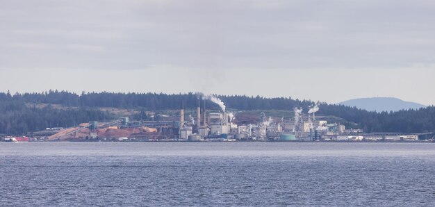 Industriële verwerkingsfabriek omgeven door bomen in de buurt van de oceaan op een bewolkte dag