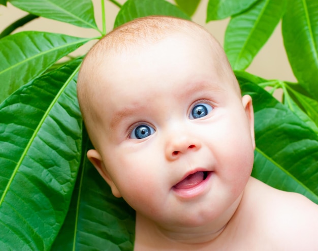 Infant in foliage