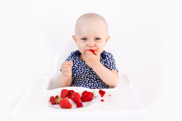 Infant girl sitting in high child's chair eating berries on white