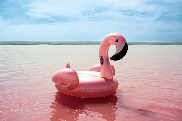 Inflatable pink pelican mattress on pink sea