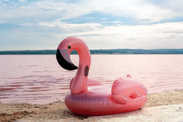 Inflatable pink pelican mattress on pink sea