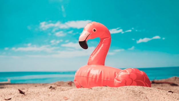 Inflatable toy of pink flamingo on beach