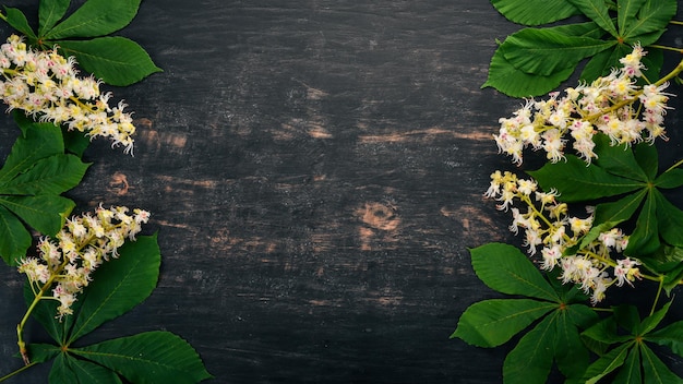 花序栗薬用植物木製の背景に上面図コピースペース