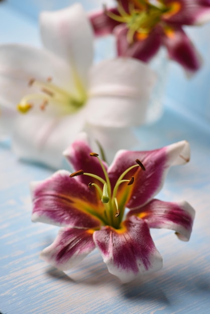 The inflorescence of the lilies on the table