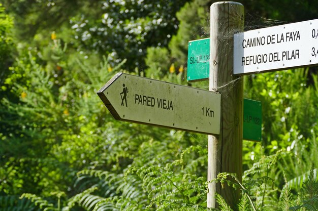 Photo information sign against trees